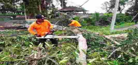 PT Suara Dewata Media - Suara dari Pulau Dewata